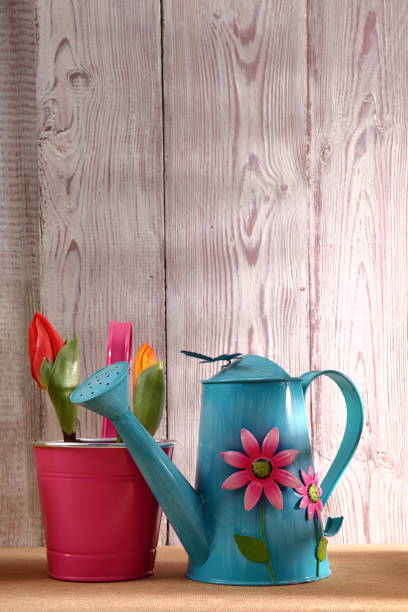 istock Garden tools that help streamline work related to gardening. 918642568