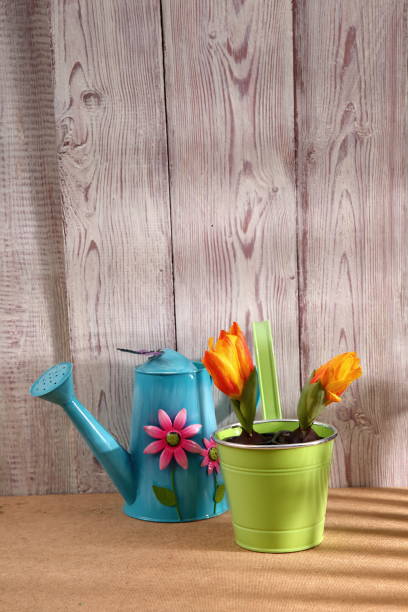 istock Garden tools that help streamline work related to gardening. 918643348