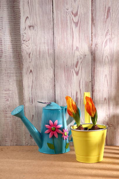 istock Garden tools that help streamline work related to gardening. 918643616