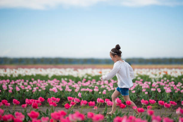 istock Little girl playing in a tulip field 918643654