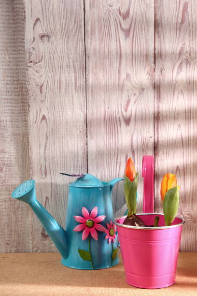 istock Garden tools that help streamline work related to gardening. 918645780
