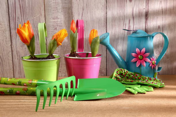 istock Garden tools that help streamline work related to gardening. 918646422