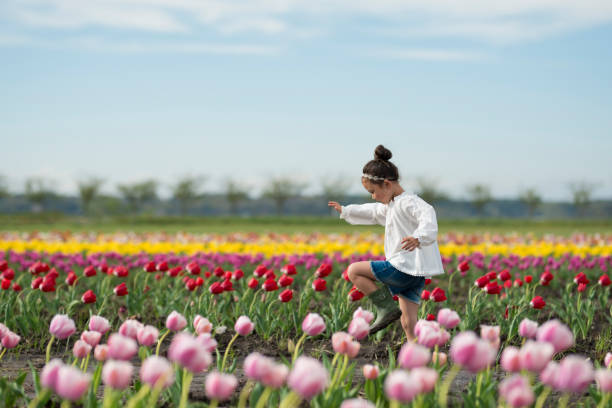 istock Little girl playing in a tulip field 918650314