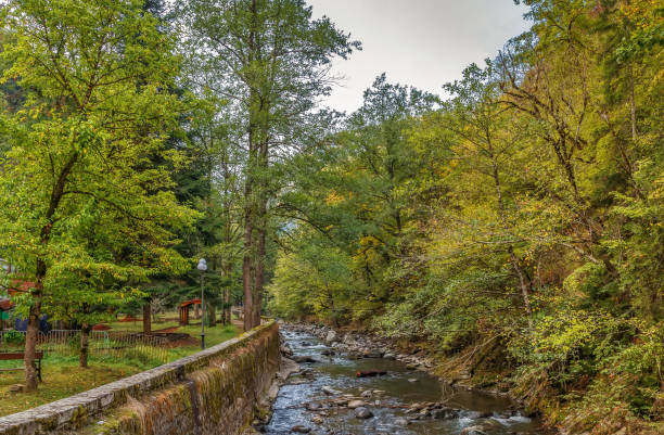 istock Borjomula river in Borjomi, Georgia 918656626