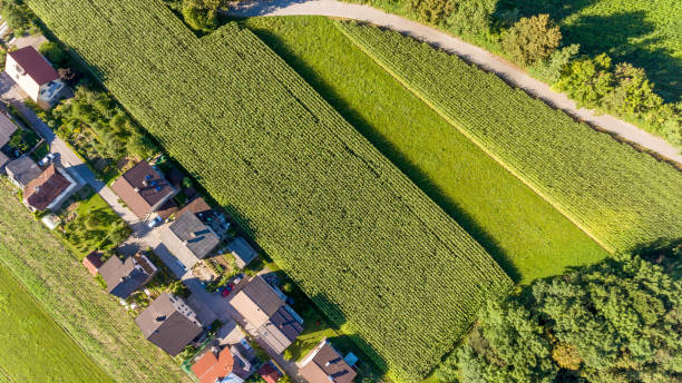 istock Drop down view of rural houses next to corn field. 918663962