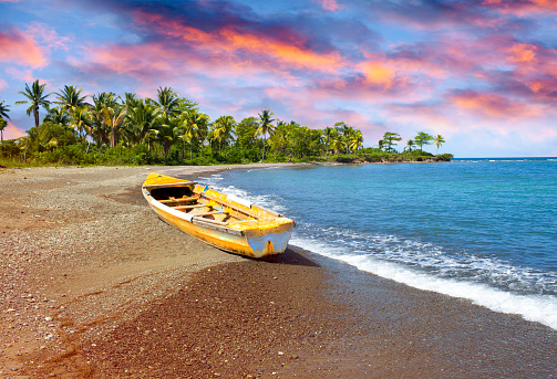 traditional wooden fishing boat on sandy sea coast with palm tree. Jamaica