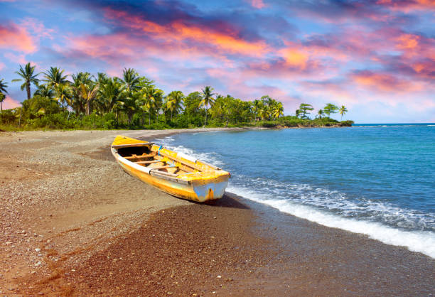 traditional wooden fishing boat on sandy sea coast with palm tree. Jamaica stock photo