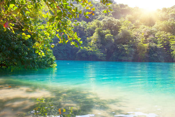 istock Blue lagoon on Jamaica 918667370