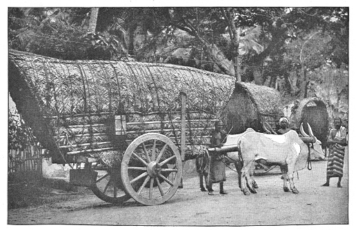 Covered wagon on the street in Colombo, British Ceylon during the british era. Vintage halftone circa late 19th century. British Ceylon is now modern day Sri Lanka.
