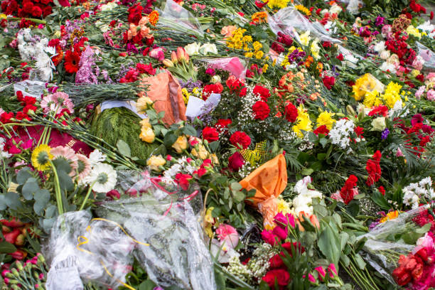 istock Carnation flowers symbol of mourning 918678852