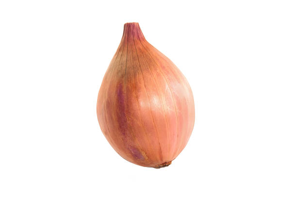 Ripe onion on a white background Ripe onion on a white background. Isoleted acrid taste stock pictures, royalty-free photos & images