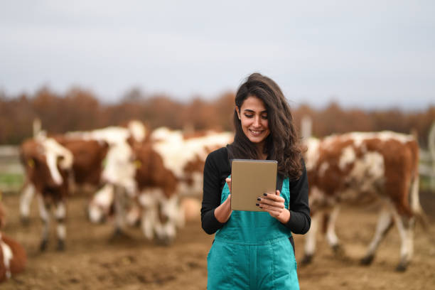 デジタル タブレットを使用して農家の若い女性 - 動物の雌 ストックフォトと画像