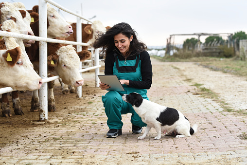 Young female farmer with cows and her dog