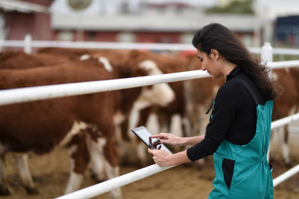 młoda kobieta rolnik za pomocą tabletu cyfrowego - zwierzęca komórka zdjęcia i obrazy z banku zdjęć