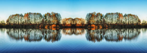 reflection. picturesque reflection of trees in the river. a quiet morning