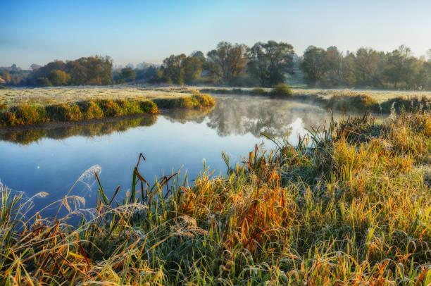 istock reflection. picturesque reflection of trees in the river. a quiet morning 918691838