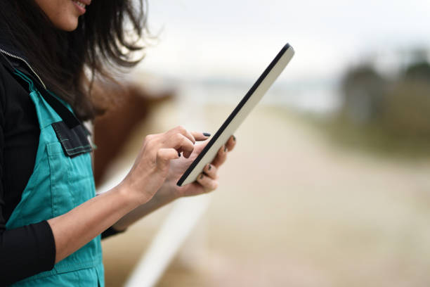 istock Young female farmer using a digital tablet, close-up 918694512