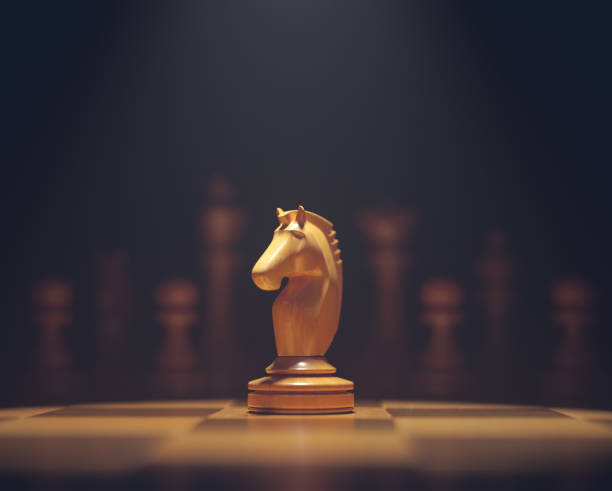 the knight in highlight - chess knight imagens e fotografias de stock