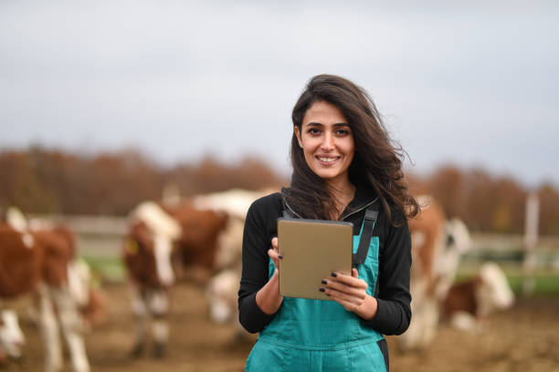 Young female farmer using a digital tablet Young female farmer using a digital tablet beef cattle feeding stock pictures, royalty-free photos & images