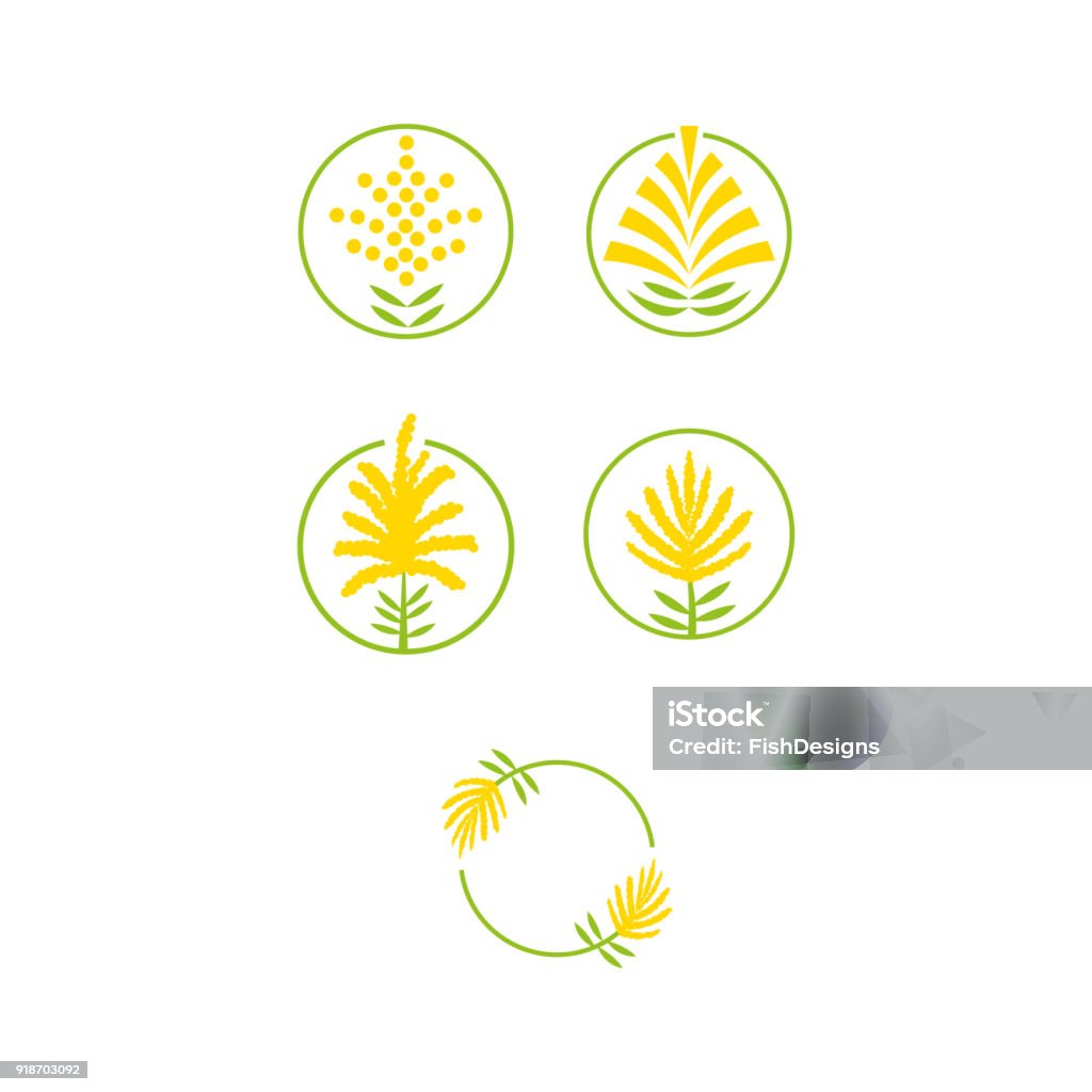Gold Rod Vector Golden Rod Stock Illustration - Download Image Now - Goldenrod, Flower ...