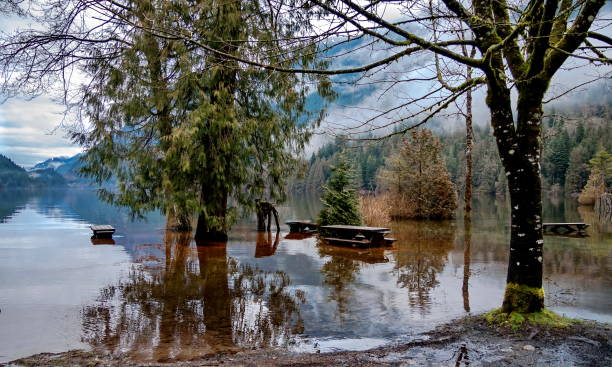Spring flood at the Buntzen Lake stock photo