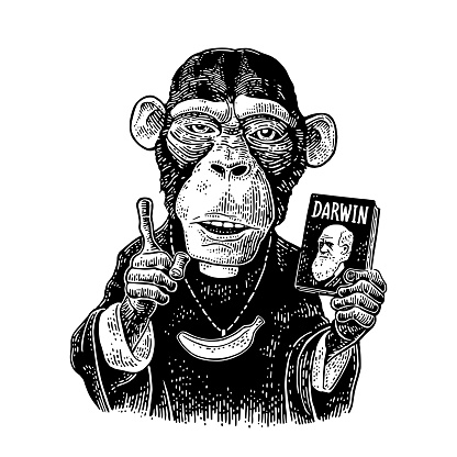 Monkey dressed in a cassock and banana chain. Priest holding book Darwin the theory of evolution and points with his finger up. Vintage black engraving illustration for poster. Isolated on white