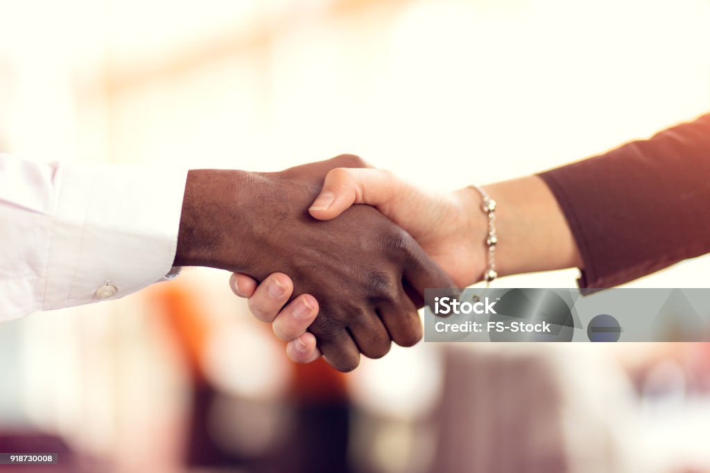 Closeup of White and Black shaking hands over a deal Closeup of White and Black shaking hands over a deal. Handshake Stock Photo