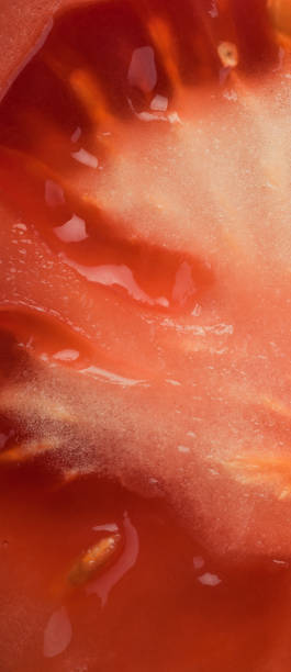 istock Abstract and art tomato slice detail 918737052