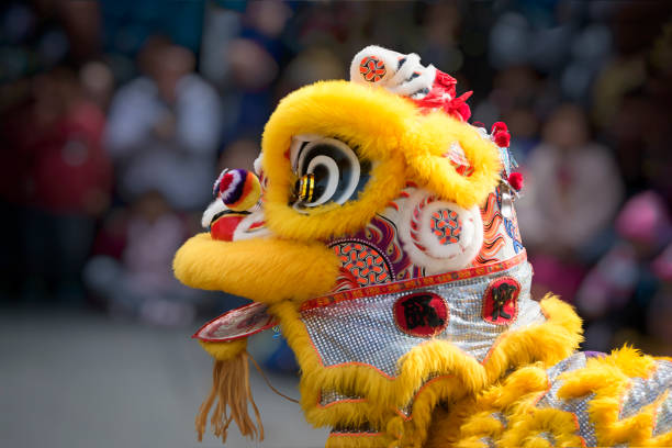 traje de dança do leão chinês fechar - performer theatrical performance stage china - fotografias e filmes do acervo