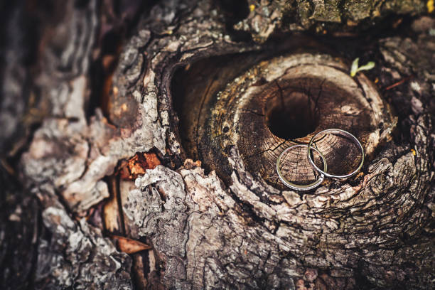 Wedding rings are on textured wood. Close-up.