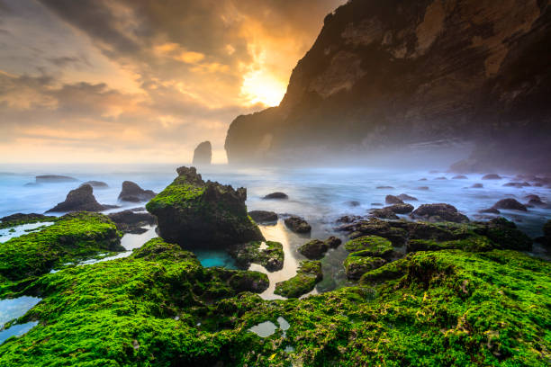 istock sunset on the foggy beach 918758124