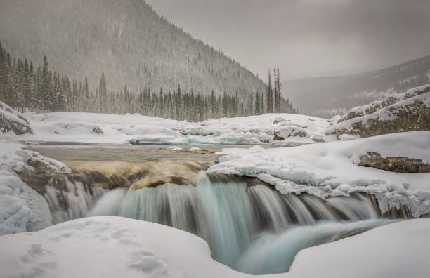 istock Stormy day at Elbow Falls, Kananaskis Country. 918764000