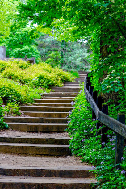 istock Stairway at a wildflower garden 918773100