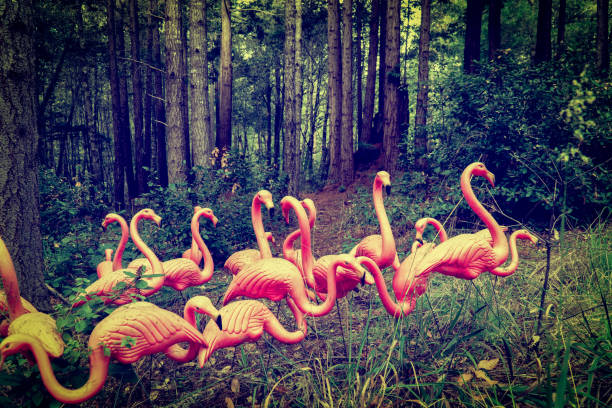 flamants roses en plastique dans la forêt - plastic flamingo photos et images de collection