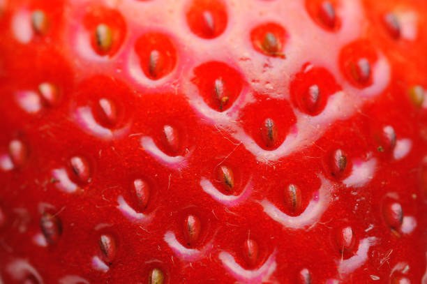 istock Strawberry Texture, Closeup Strawberry 918789956