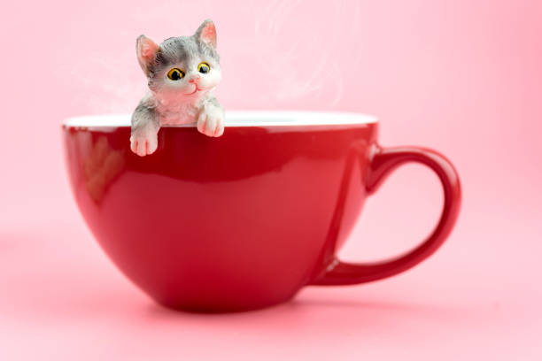 istock A cat model in a red coffee mug 918795994