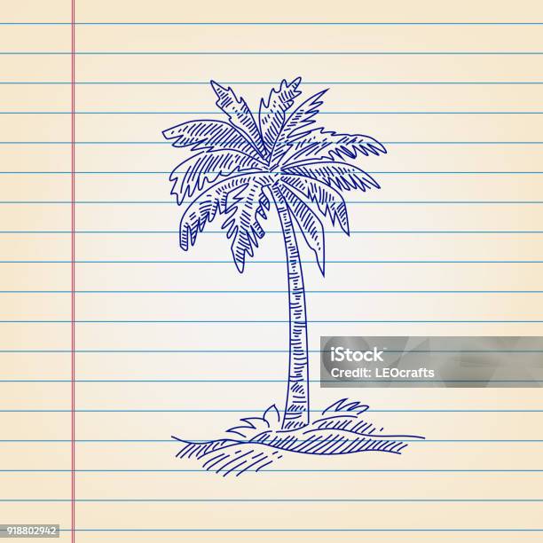 Palm Tree Drawing On Lined Paper Stock Illustration - Download Image Now - Palm Tree, Line Art, Pen And Ink