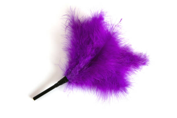 istock Purple Feathered fetish equipment 918810570