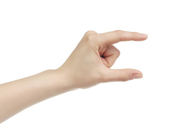 istock young female right hand to hold something small like card 918813754