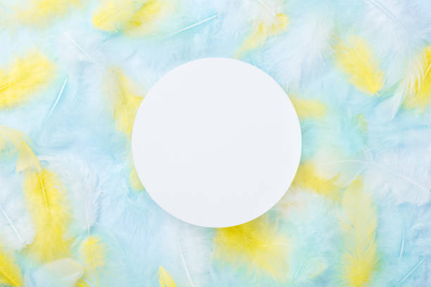 istock White round card on colorful feathers background. Fashion pastel style. 918817536