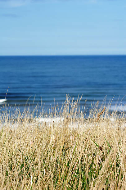 istock English cliff top coastline on a summers day 91881810