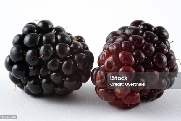 Two Berries Stock Photo - Download Image Now - Blackberry - Fruit, Antioxidant, Berry Fruit