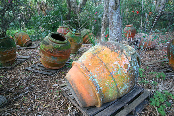 istock Vases in the Jungle 91882141