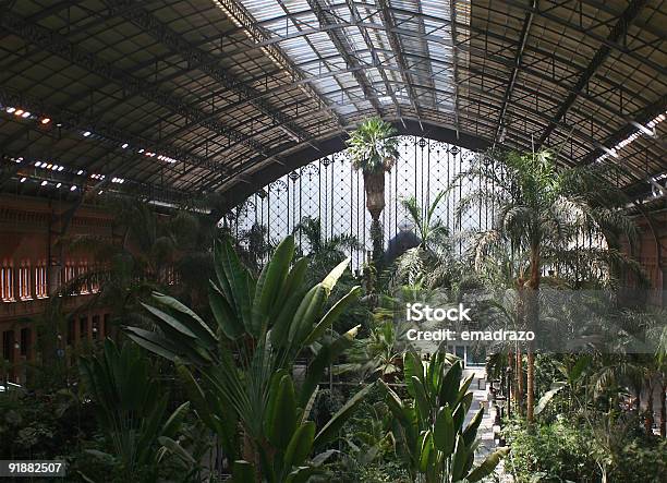 Estação De Atocha - Fotografias de stock e mais imagens de Atocha - Atocha, Madrid, Arbusto