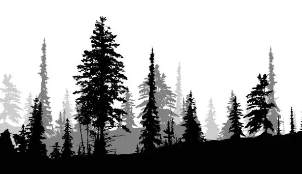 Vector illustration of Forest Growing A New
