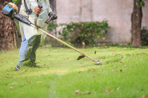 istock Man mowing the grass with portable machine in the garden 918826270