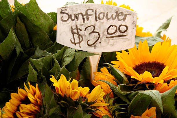 istock Sunflowers 4 sale 91882665