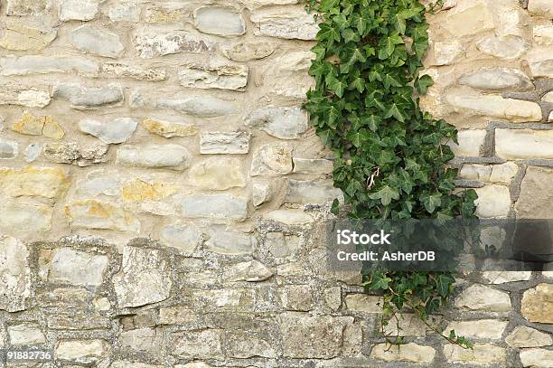 Foto de Ivy Em Um Velho Muro De Pedra e mais fotos de stock de Abstrato - Abstrato, Amarelo, Cimento