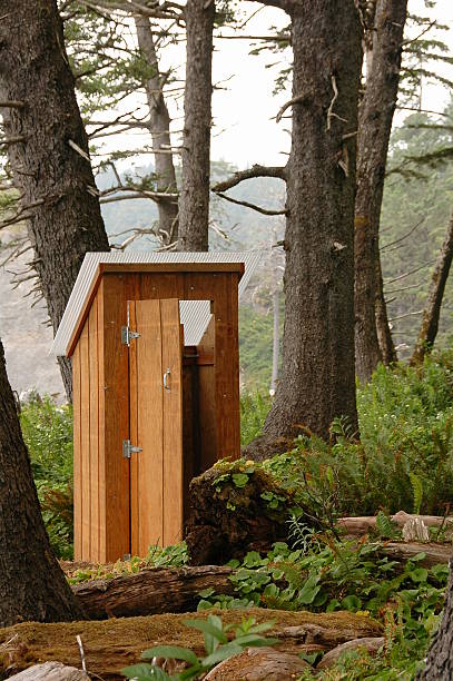 istock Outhouse in the Forest 91882781