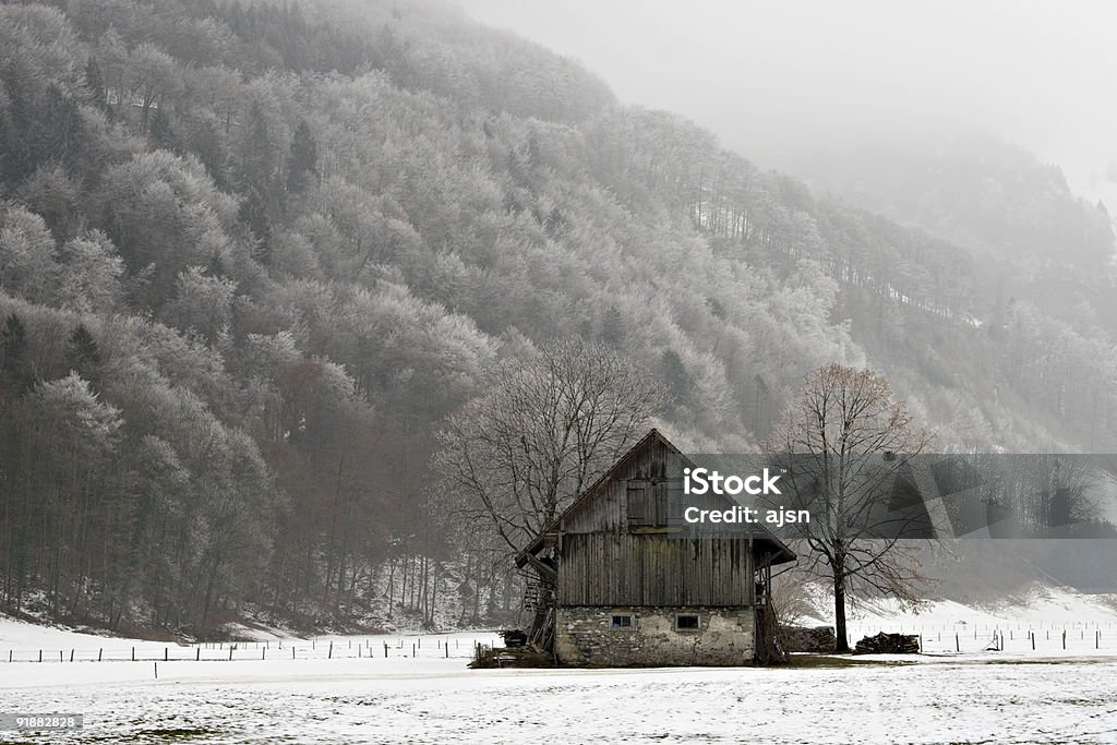 Vecchio barn - Foto stock royalty-free di Albero